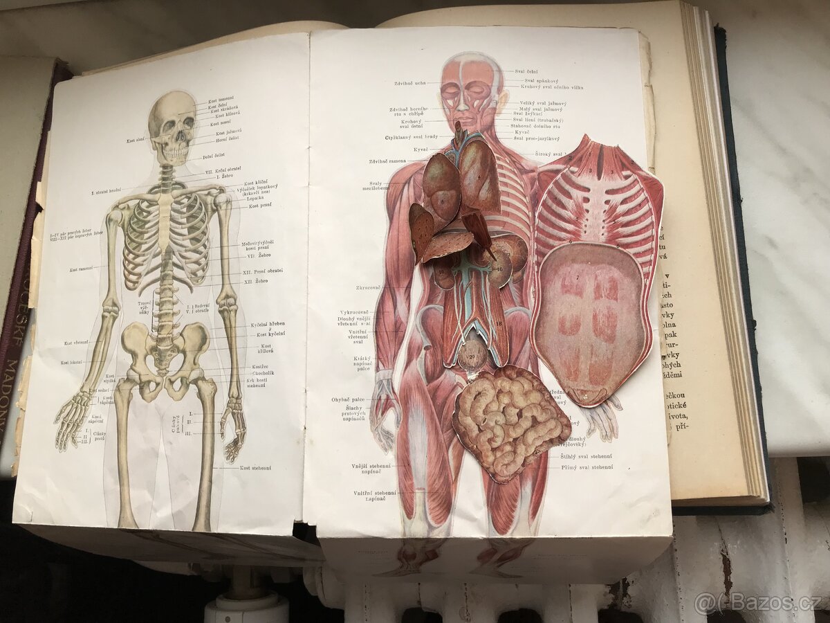 Domací lékařka - 4