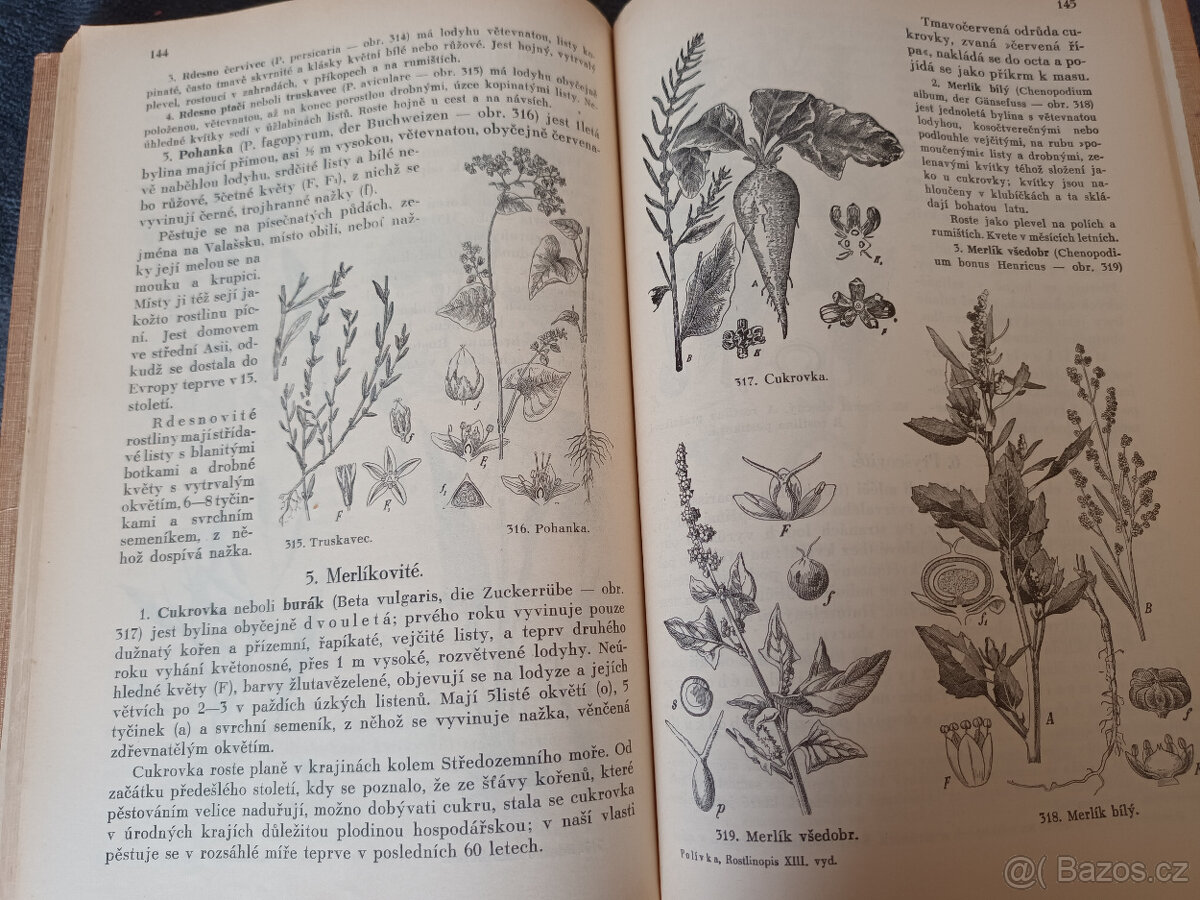 Staré knihy DOMA - ROSTLINOPIS - DĚTSKÝ SVĚT - 4