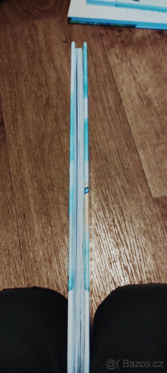 Kniha Káťa a Škubánek - 4