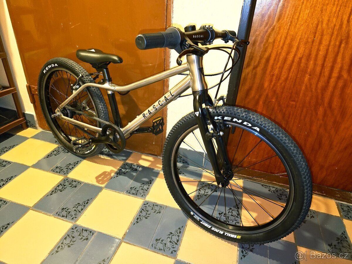 Dětské kolo Rascal 20 Sturmey Archer Titan (šedá) - 4