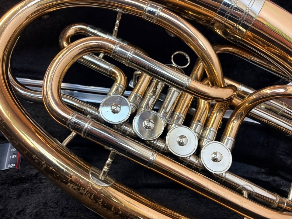 Baryton baskřídlovka V.F. Červený - 4