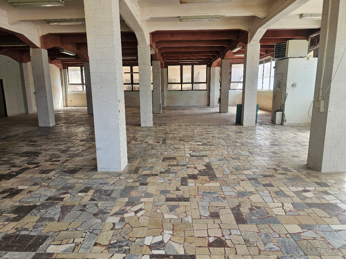 Pronajmu obchodní a skladové prostory - 4