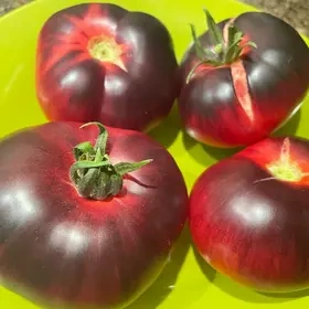 Pronájem zahrady v Plzni - Lobzy. Gril a rekreace. 1890 Kč - 4