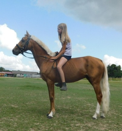 pony A do sportu - 4