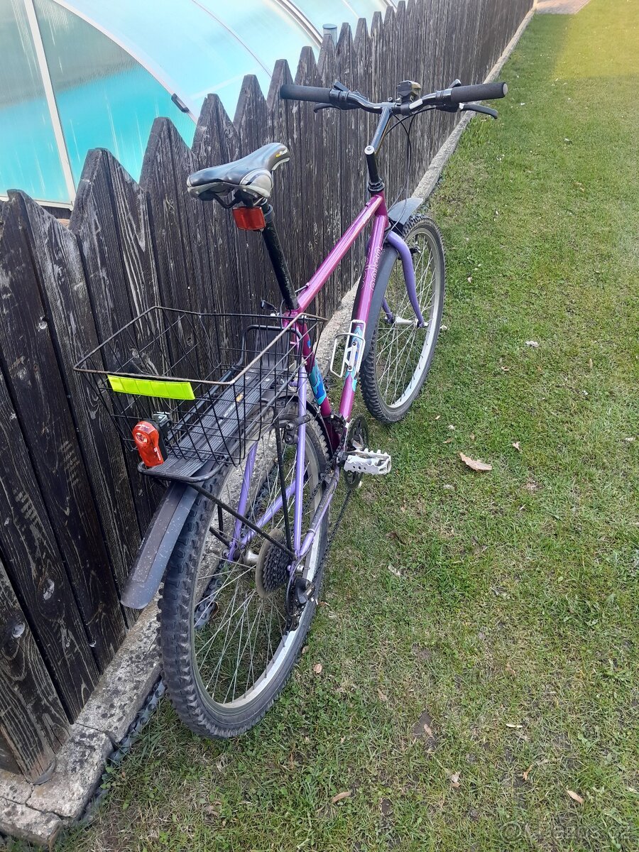 Horské kolo Anlen Invert vel.L - 4