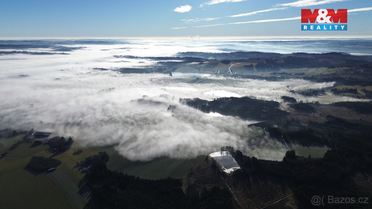 Prodej lesa v Bohdalově - 4