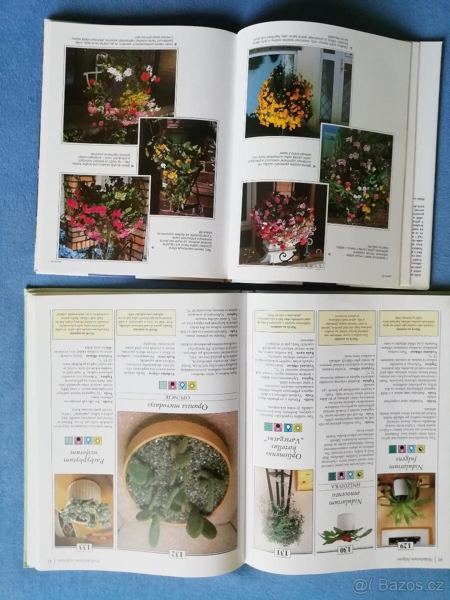 200 pokojových rostlin + Rostliny v nádobách +Zahrádka v kvě - 4