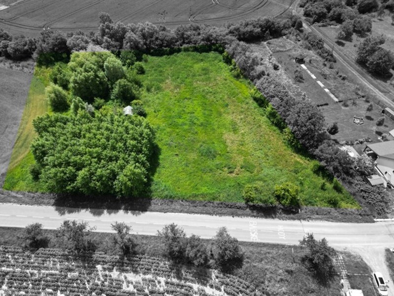 Prodej stavebního pozemku, 7 284 m², Diváky - 4