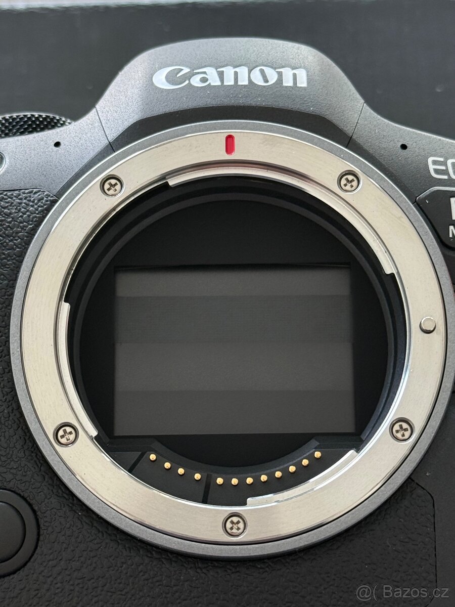Canon EOS R6 Mark II - 4