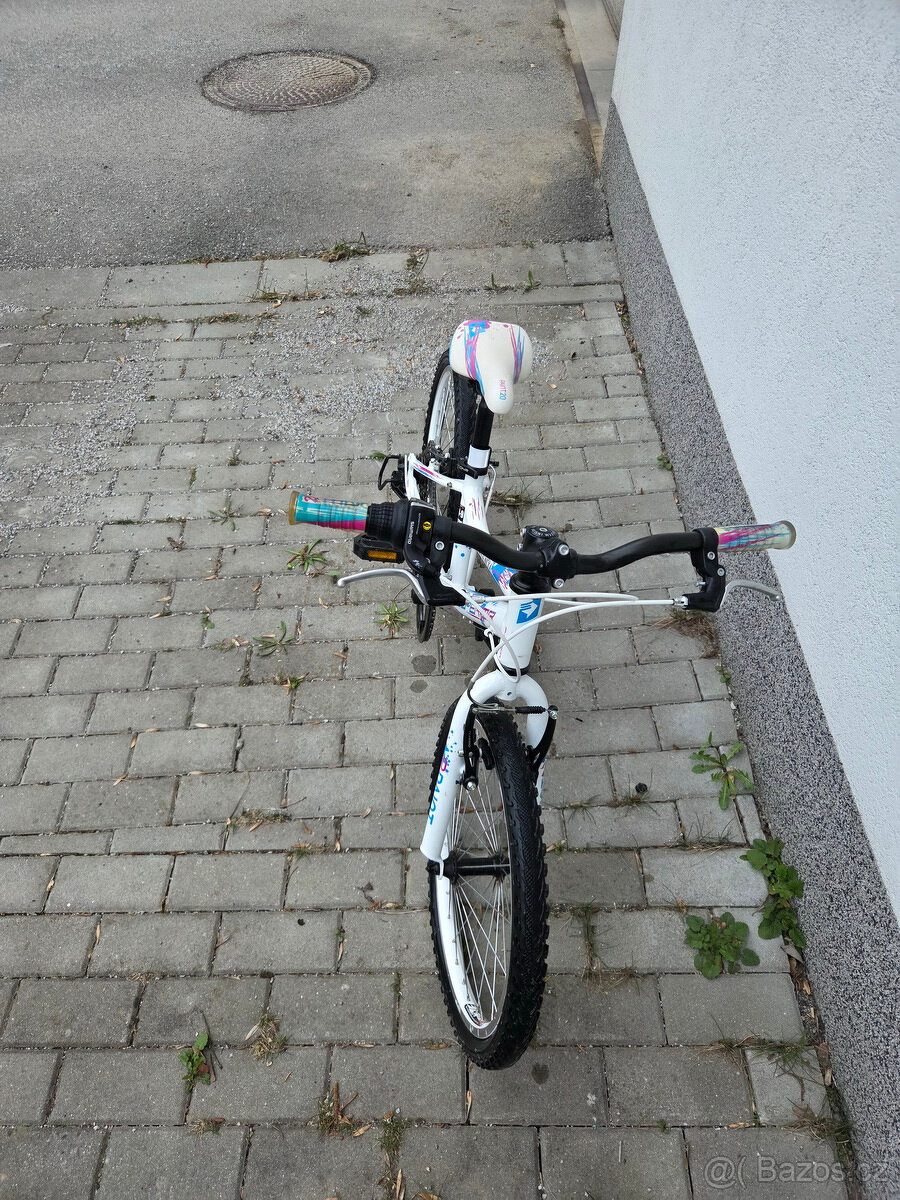 Dětské kolo SUPERIOR Paint 20 - 4