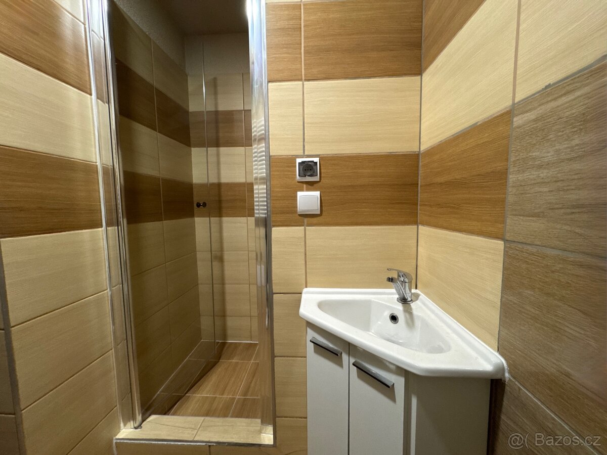 Pronájem bytu 2+1 - 4