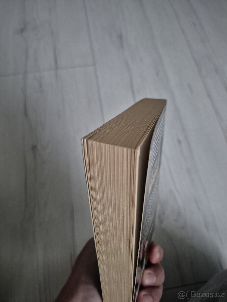 Kniha World of Warcraft - Arthas, zrod krále Lichů (CZ) - 4