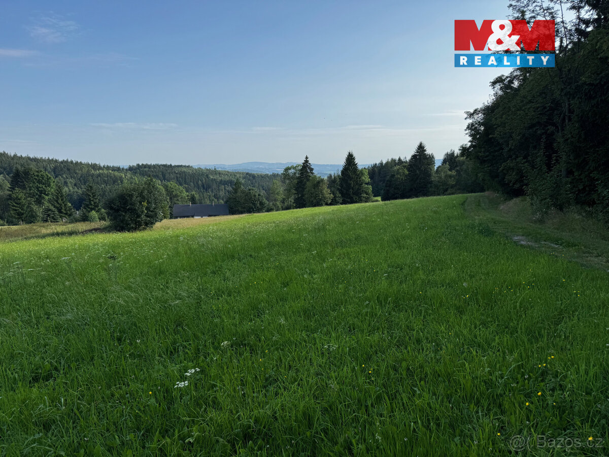 Prodej louky v Kořenově - Rejdice - 4