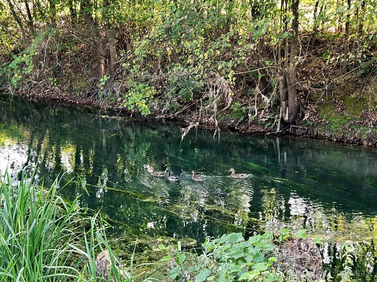 Pozemek / Chorvatsko - 4