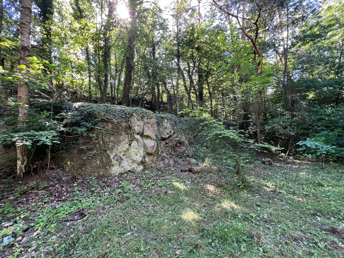 Malebný pozemek 2217 m2 u Prahy - Kamenný Přívoz - 4