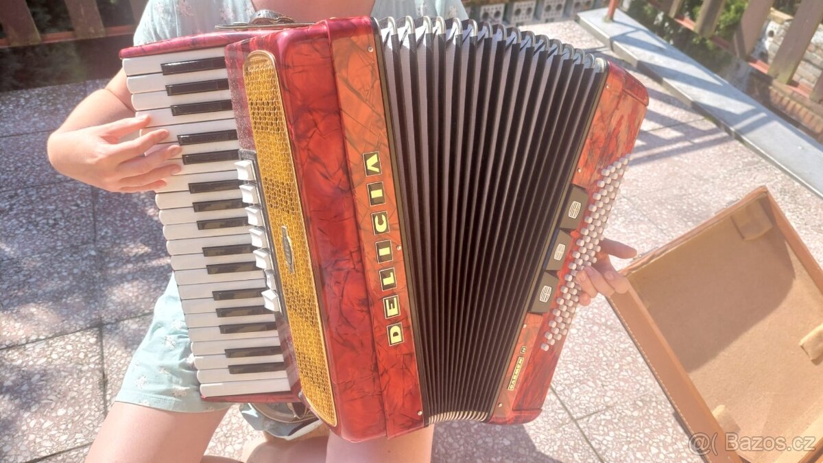 Akordeon Delicia, model carmen - 4
