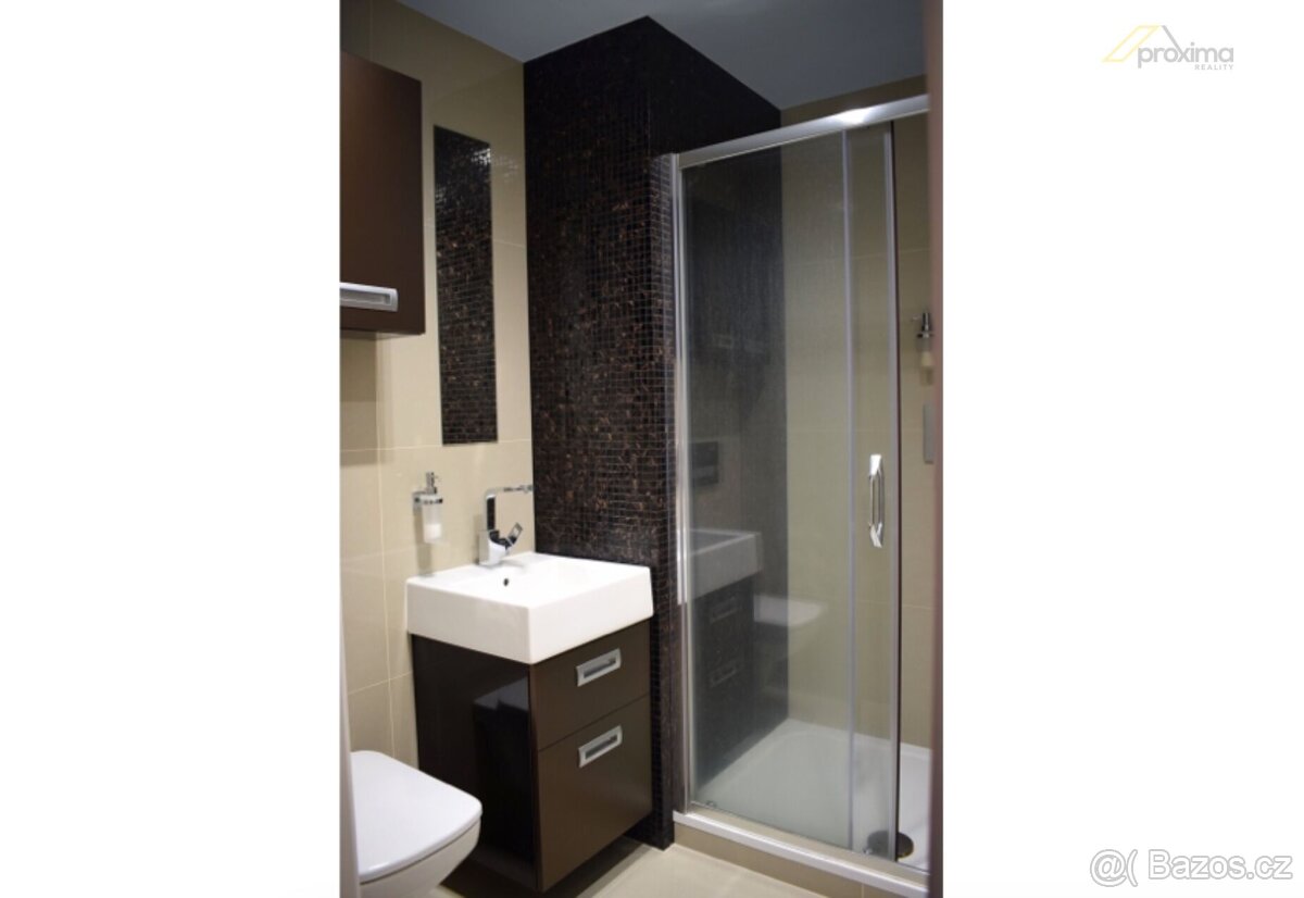 Pronájem bytu 1+kk s lodžií, ul. Fr. Ondříčka, České Budějov - 4