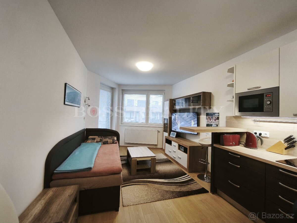 Slunný byt 1+kk s balkónem, sklepem a garážovým stáním - 4