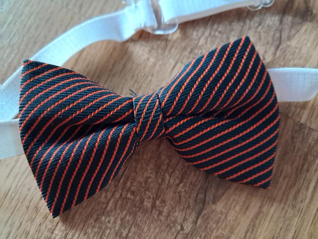 Pánské motýlky na ples, do tanečních apod. - 4