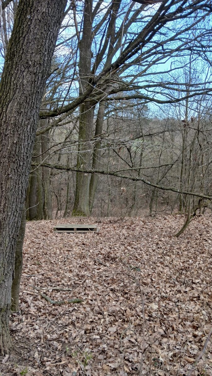 Jalubí - místo pro odpočinek - 4