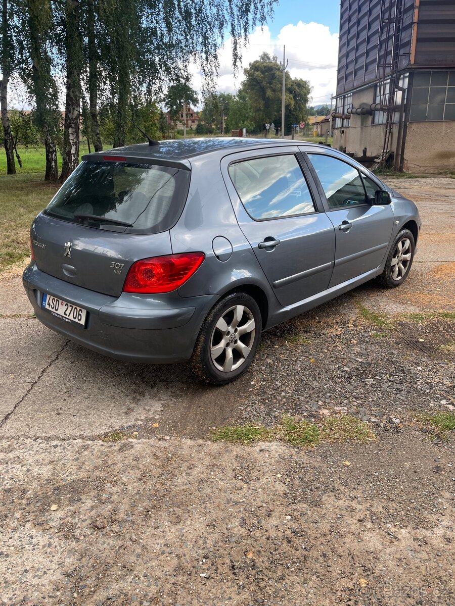 Peugeot 307 2.0 HDI - 4