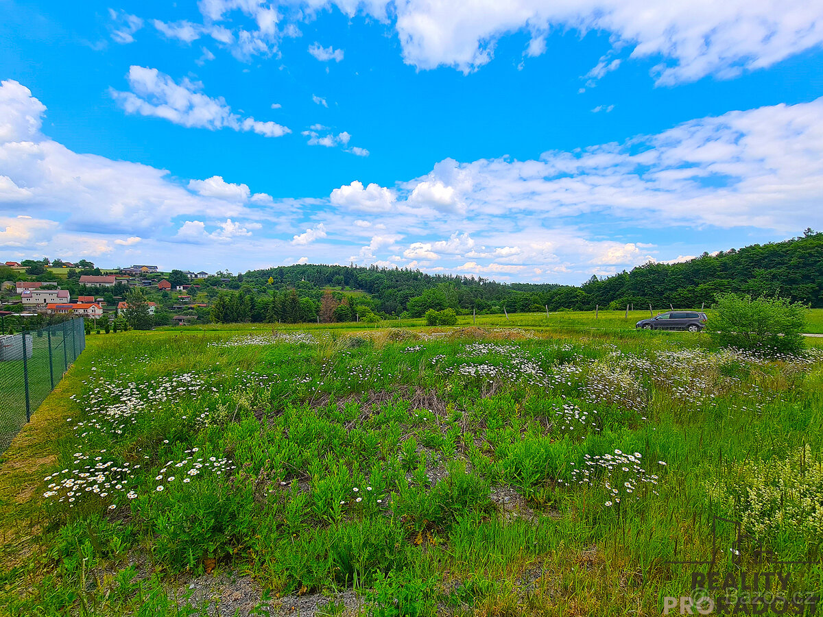Prodej zahrady 755m2 v Ruprechtově, Zahrada Stavební parcela - 4