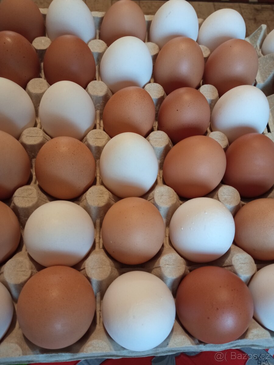 DOMÁCÍ VAJÍČKA - 4