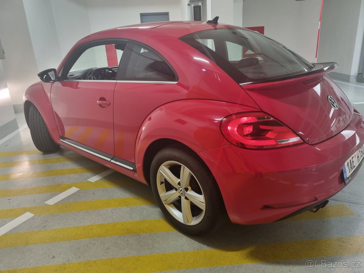 New beetle - 4