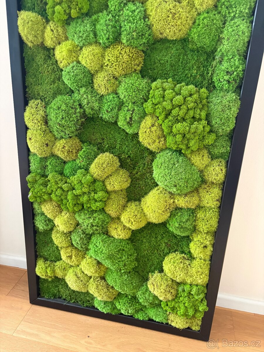 Mechový obraz velký - 4