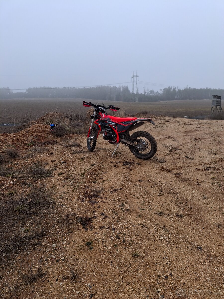 Beta Xtrainer 300
