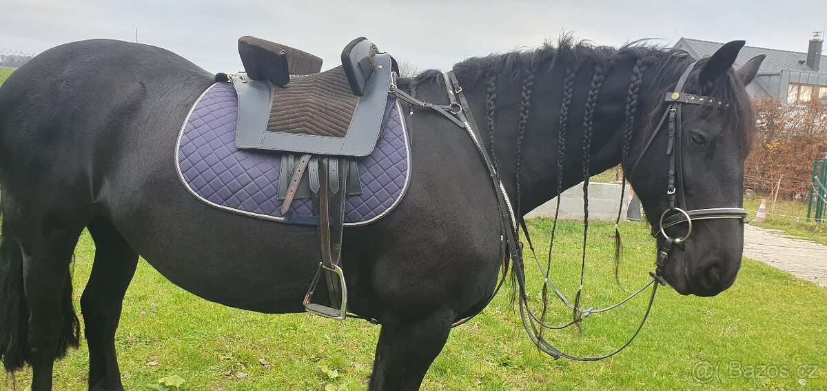 ČERNÉ BAROKNÍ SEDLO - 4