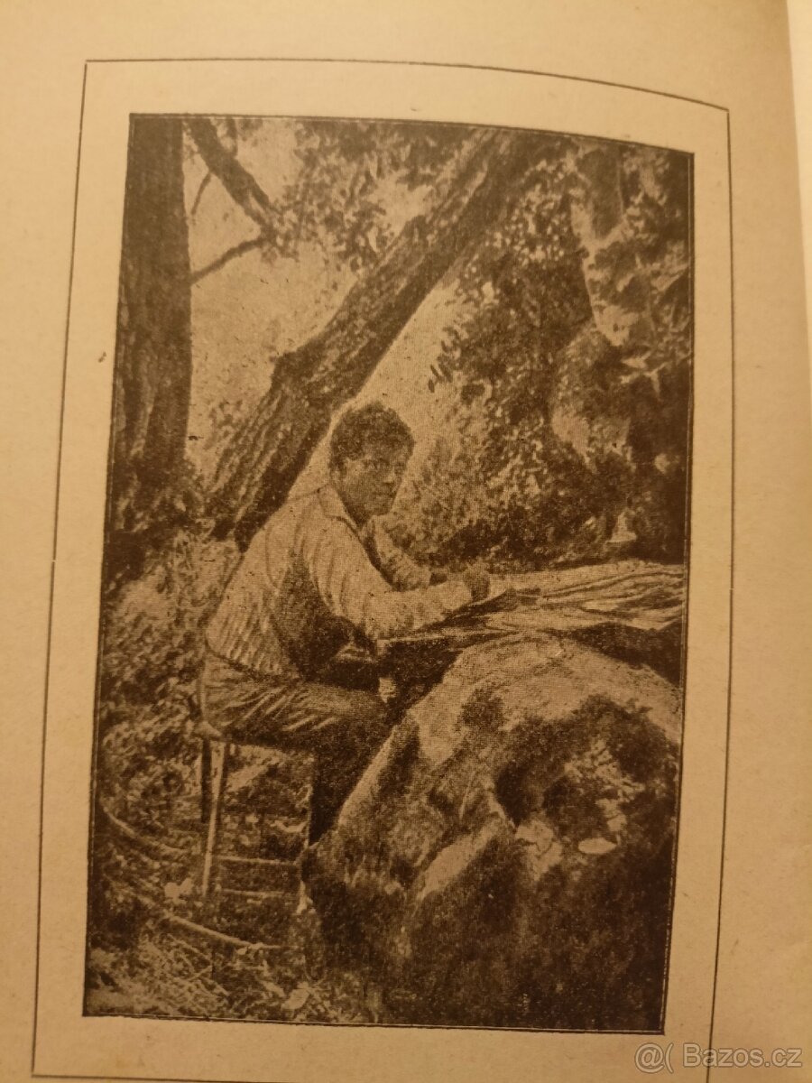 Jack London VOLÁNÍ DIVOČINY - 4