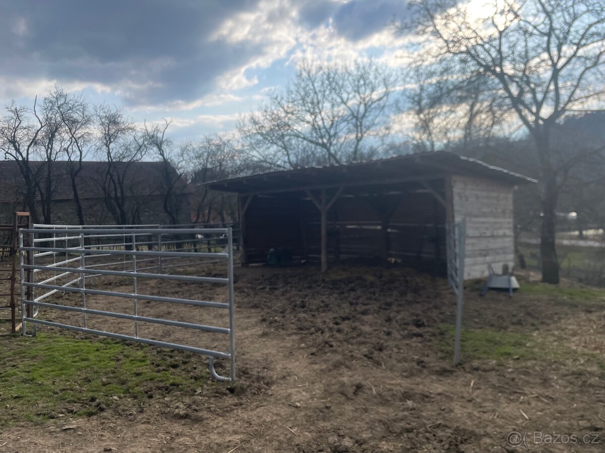 Pastevní ustájení - 4