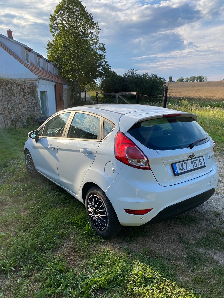 Forf Fiesta 2015 - 4