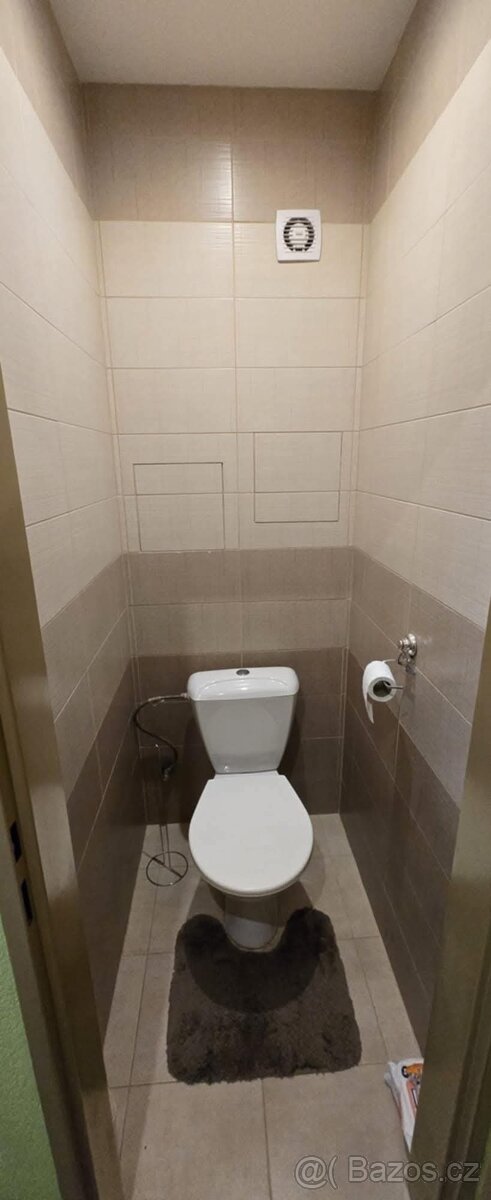 Pronajmu 1+1 na Košutce - 4