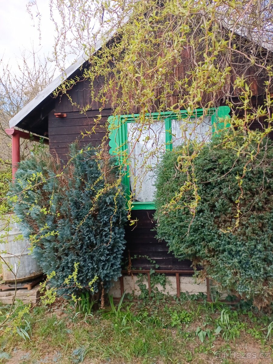 Zahrada s chatkou - 4