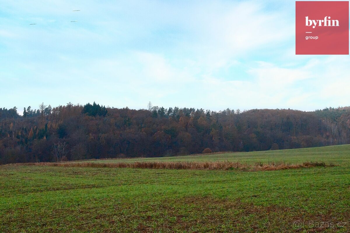 Prodej pozemku o výměře 6660 m2. - 4