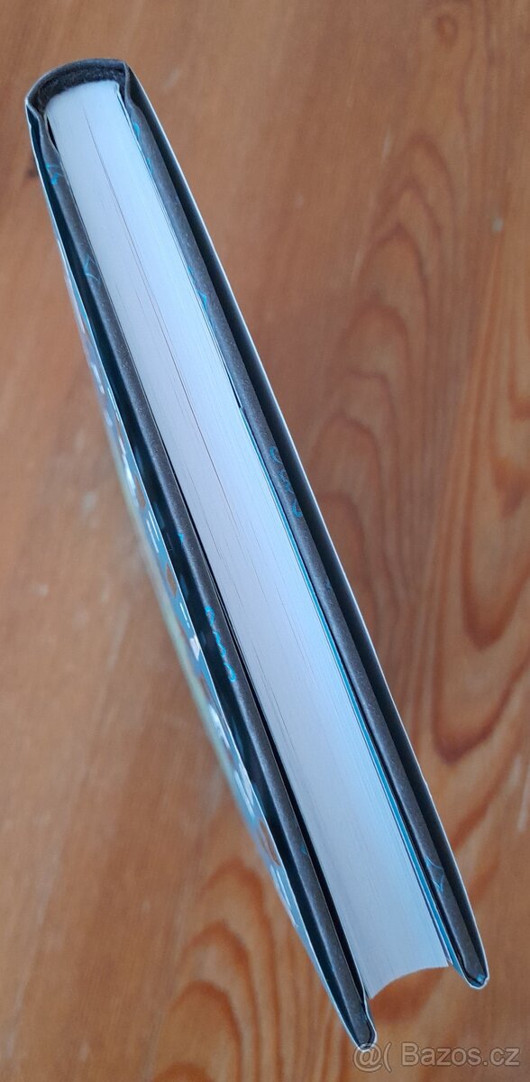 Dula, Michal Viewegh - 4