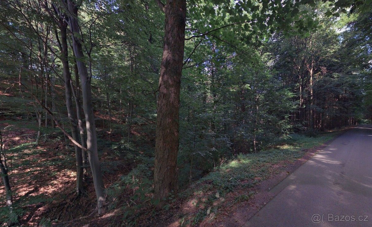K prodeji lesní pozemky, Hartinkov, okres Svitavy - 4