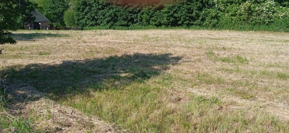 Petřvald 19 320 m2. - 4