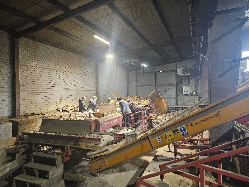 Bijlsma Hercules - 4