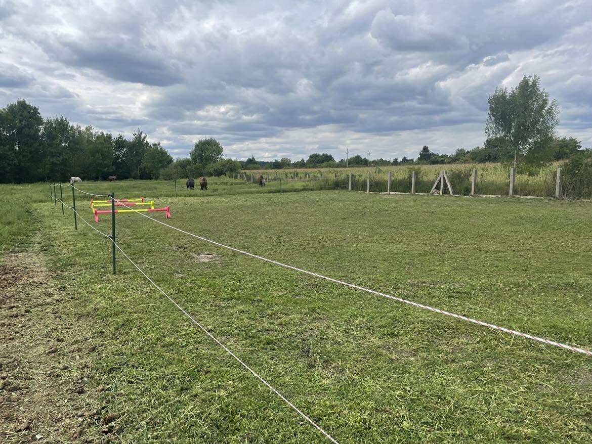 Boxové ustájení - 4