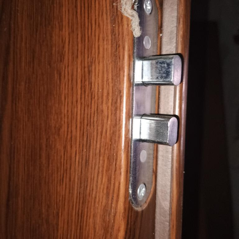 Vchodové bezpečnostní dveře - 4