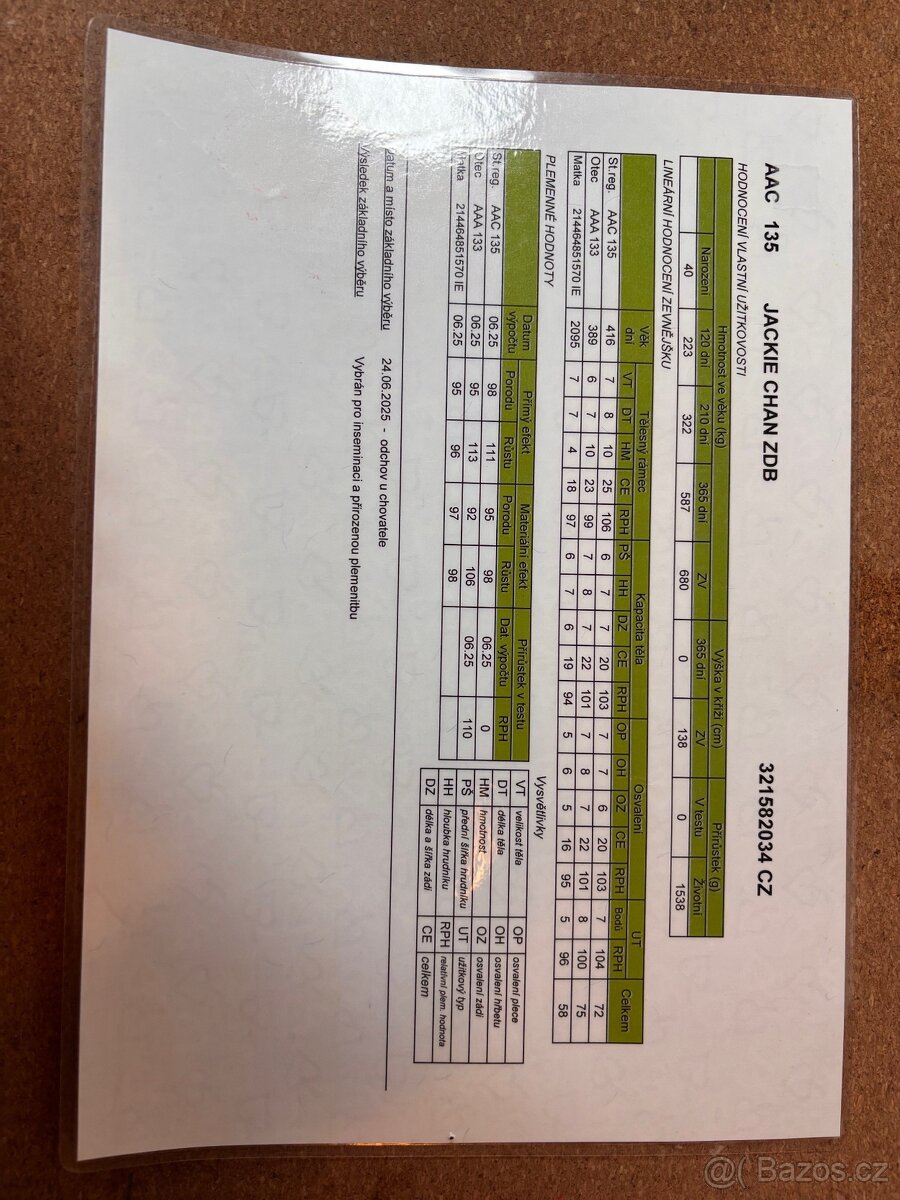 Aberdeen Angus Byk - 4