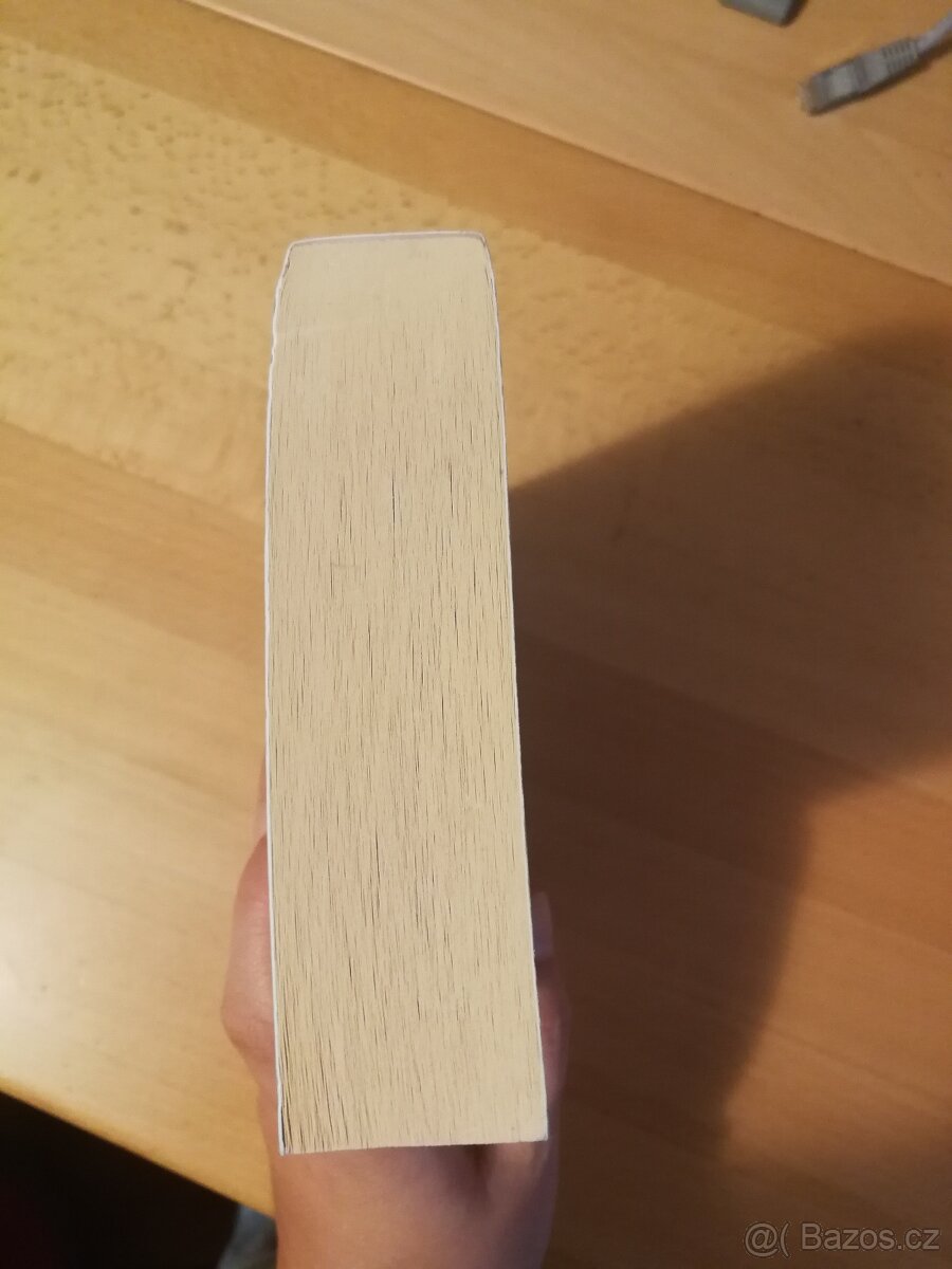 Řetěz ze zlata - Cassandra Clare - 4