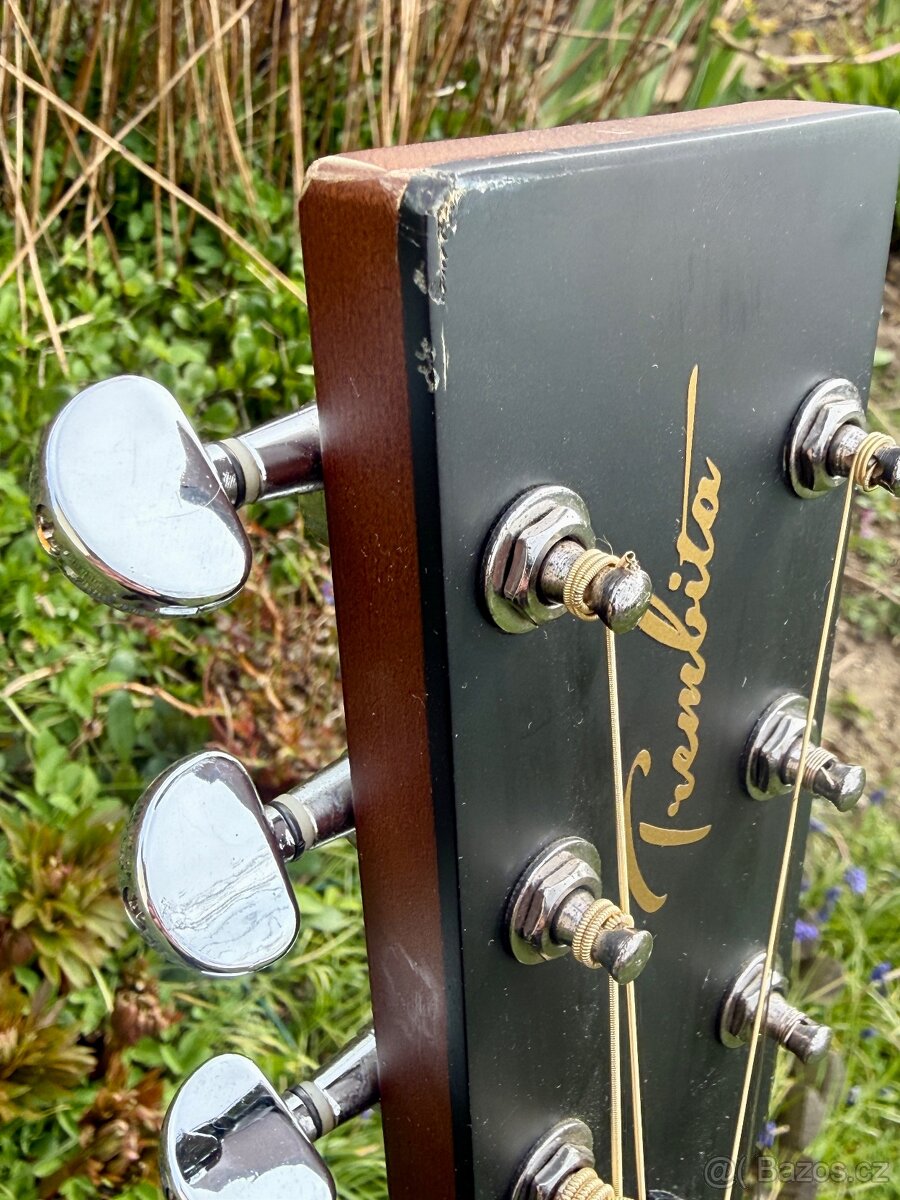 Kytara Trembita D7C - 4