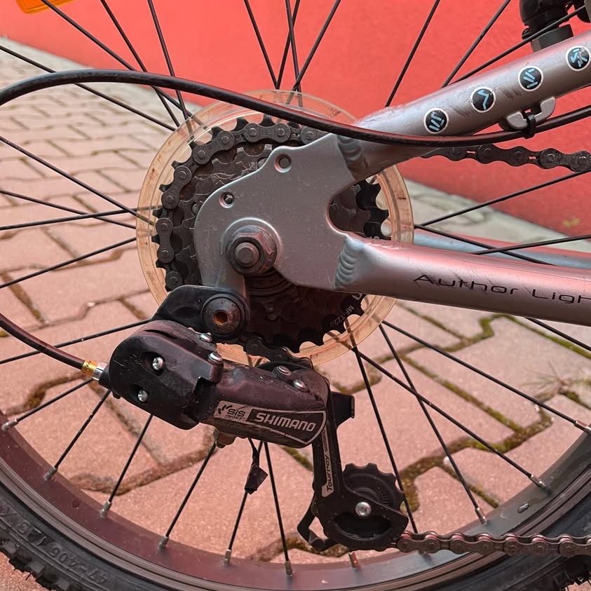 Author Cosmic vel.20 - 4