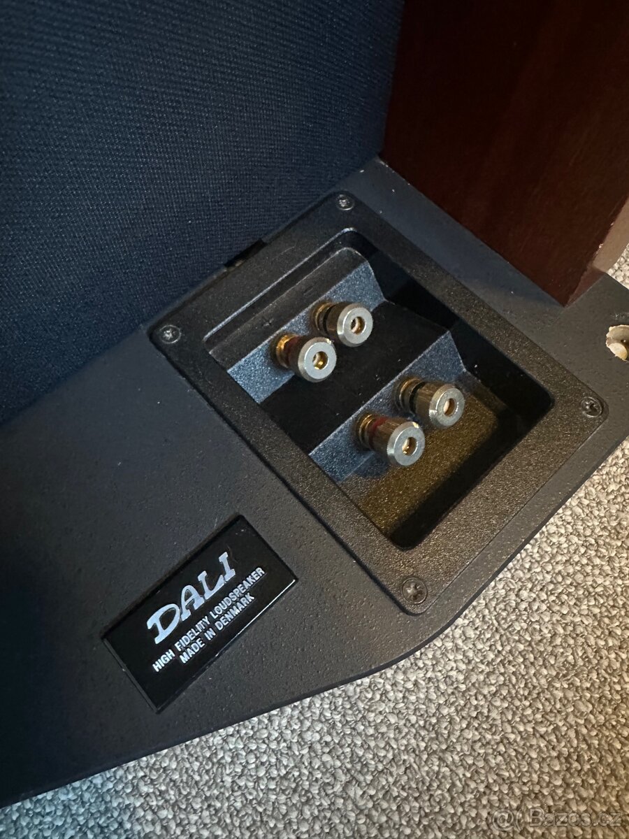 High-End Dali Skyline 1000 - 4