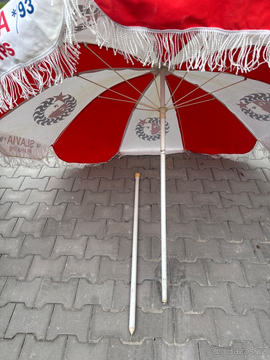 Slunečník Slavia - 4