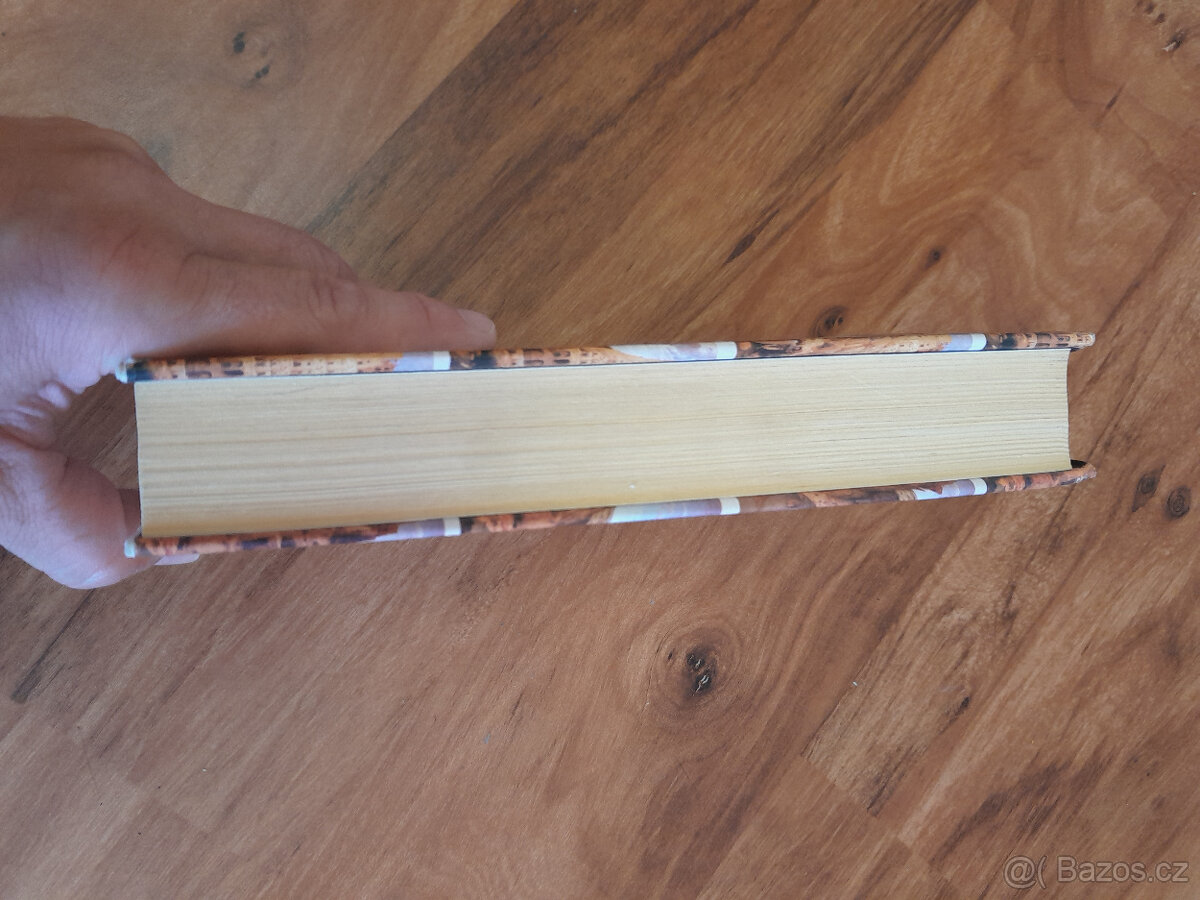 Kniha Francise Fukuyamy, Konec dějin a poslední člověk - 4